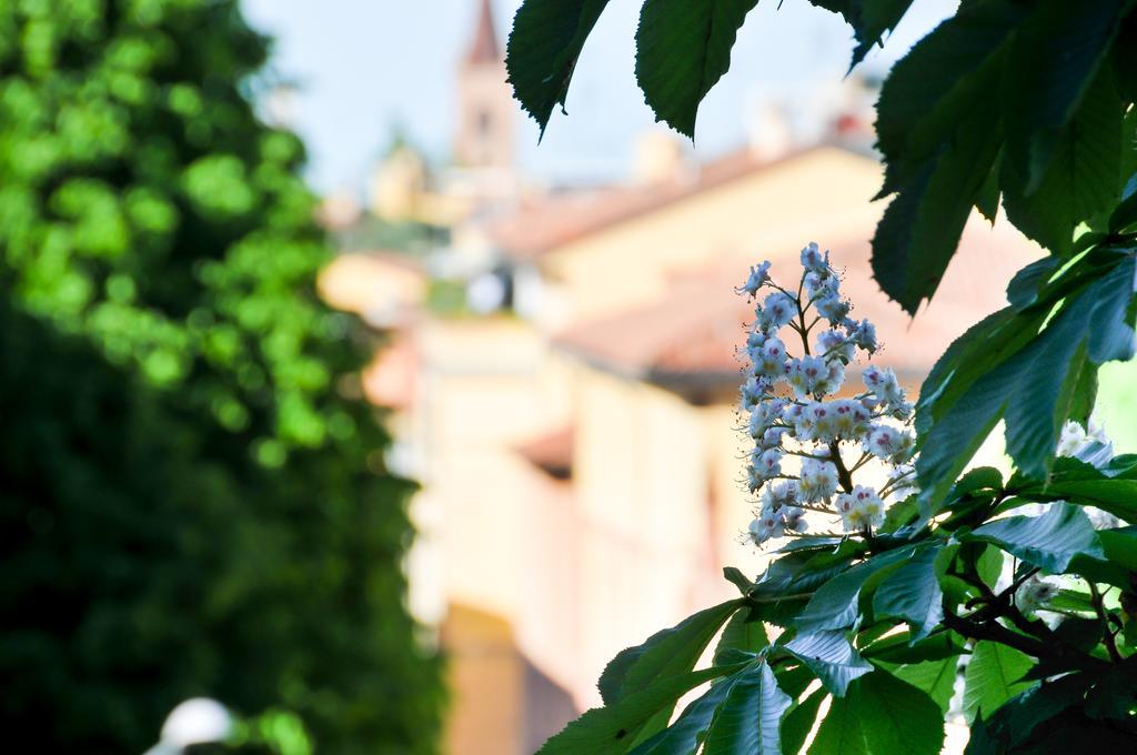 B&B Al Parco Giardini Margherita 볼로냐 외부 사진