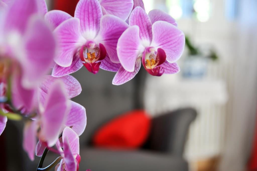 B&B Al Parco Giardini Margherita 볼로냐 외부 사진